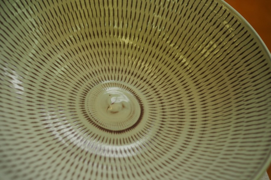 PA105388-1024x683